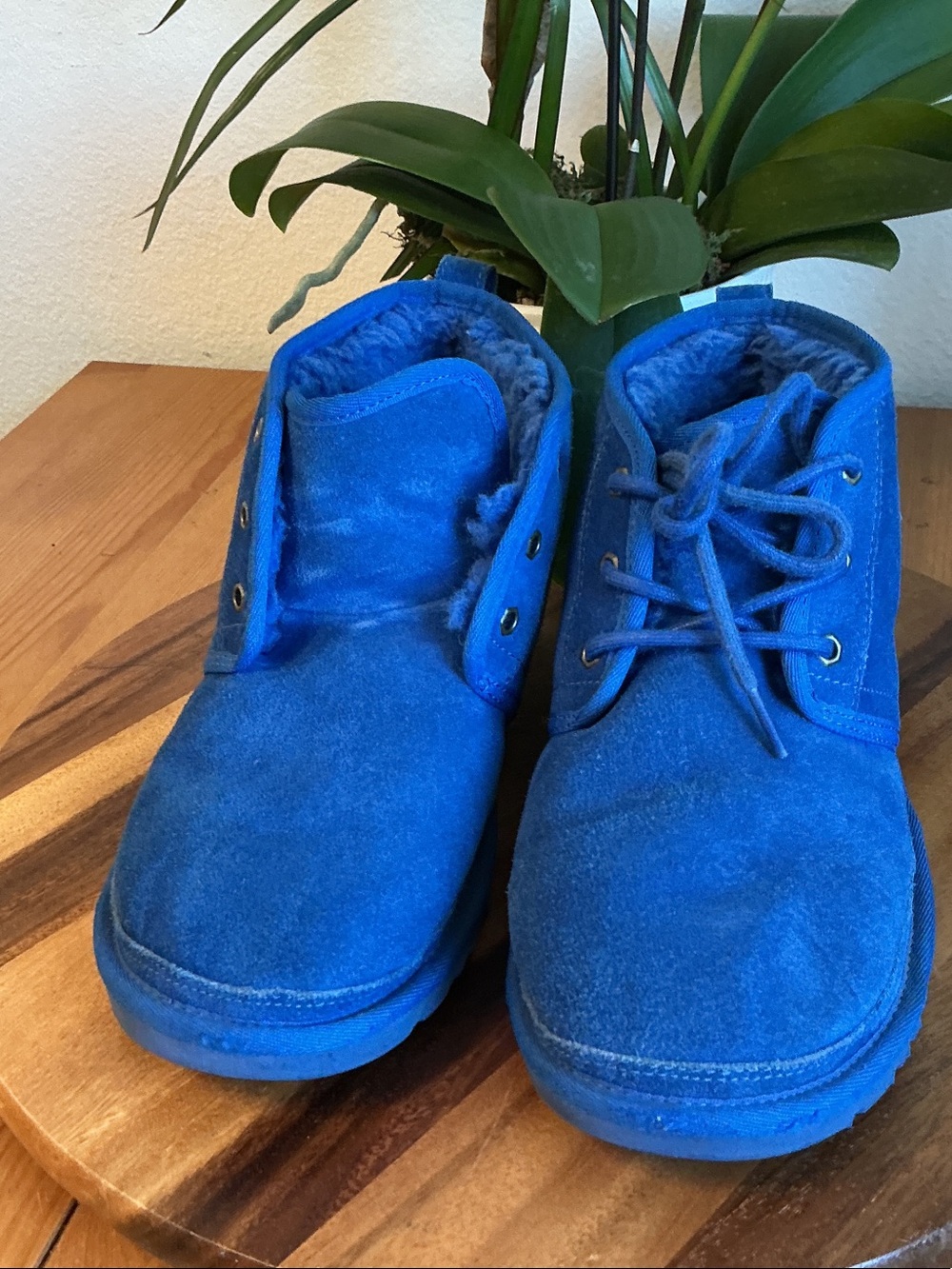 UGG Neumel Cozy Suede Lace-Up Boots in Royal Blue 9